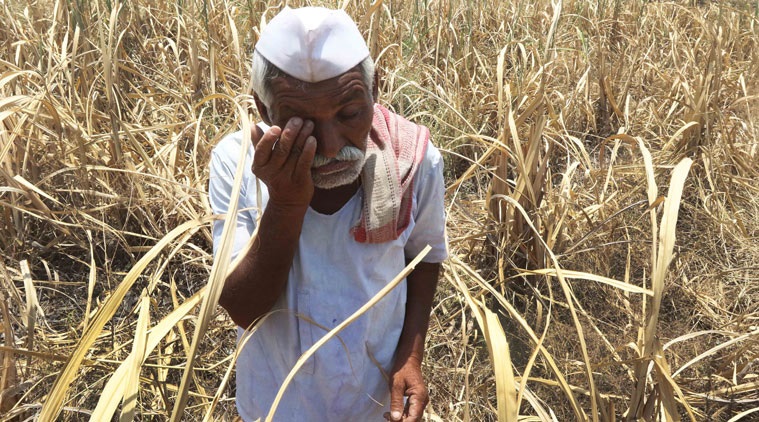 यंदाच्या अर्थसंकल्पात कृषी क्षेत्रासाठी तरतूद कमीच यंदाच्या अर्थसंकल्पात कृषी क्षेत्रासाठी तरतूद कमीच