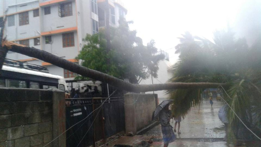 A cyclone alert has been sounded in Kerala and Tamil Nadu on Thursday after strong winds and heavy rain hit southern districts in the states. A cyclone alert has been sounded in Kerala and Tamil Nadu on Thursday after strong winds and heavy rain hit southern districts in the states.