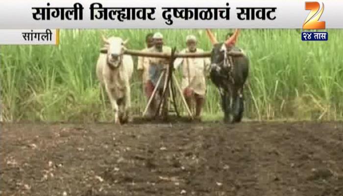 शेतकऱ्यांनो पेरण्या करु नका, केंद्र सरकारची बैठक शेतकऱ्यांनो पेरण्या करु नका, केंद्र सरकारची बैठक
