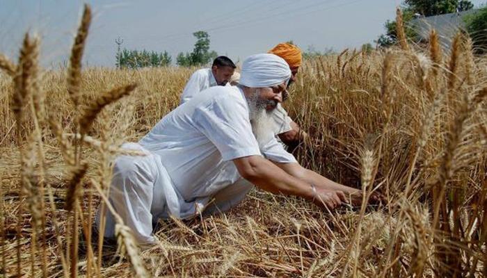 बजेटमध्ये शेतीसाठी घोषणा, पण 'अर्थ'च नाही? बजेटमध्ये शेतीसाठी घोषणा, पण 'अर्थ'च नाही?