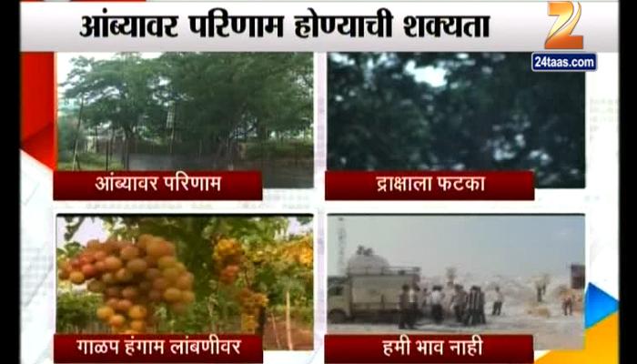 सावधान : राज्यात अवकाळी पाऊस; रोगांसाठी पोषक वातावरण सावधान : राज्यात अवकाळी पाऊस; रोगांसाठी पोषक वातावरण
