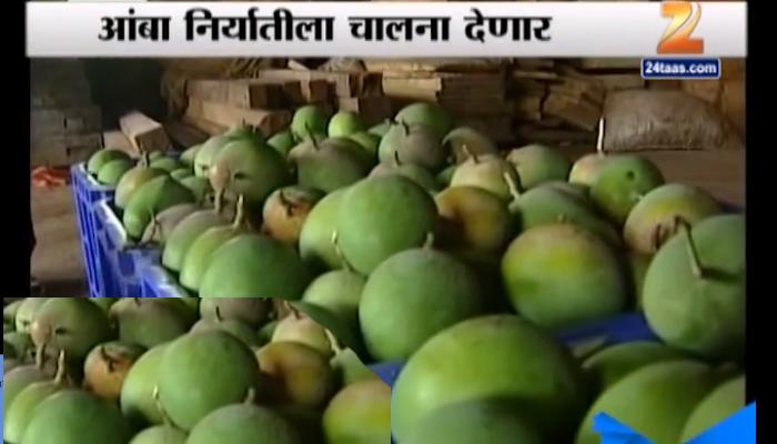 आंबा निर्यातीतील दलालांचा शिरकाव रोखणार आंबा निर्यातीतील दलालांचा शिरकाव रोखणार