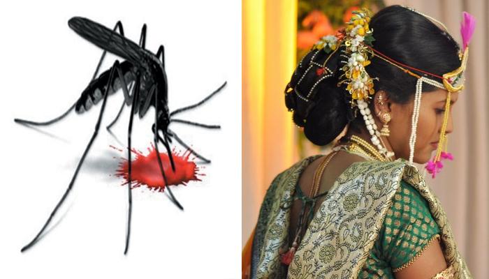 लग्नाआधीच डेंग्यूने तिची केली अखेर... लग्नाआधीच डेंग्यूने तिची केली अखेर...