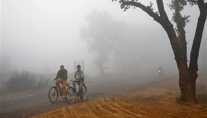 थंडीच्या लाटेनं महाराष्ट्र गारठला, मुंबईलाही हुडहुडी! थंडीच्या लाटेनं महाराष्ट्र गारठला, मुंबईलाही हुडहुडी!