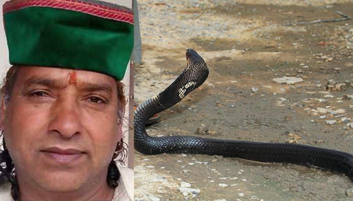 आर्मी मॅनच्या मागे लागली नागिन, ७२ वेळा डसली आर्मी मॅनच्या मागे लागली नागिन, ७२ वेळा डसली