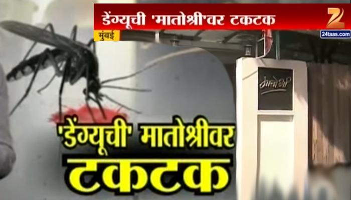 वांद्र्यातील 'मातोश्री'च्या दाराबाहेर डेंग्यूची टकटक वांद्र्यातील 'मातोश्री'च्या दाराबाहेर डेंग्यूची टकटक