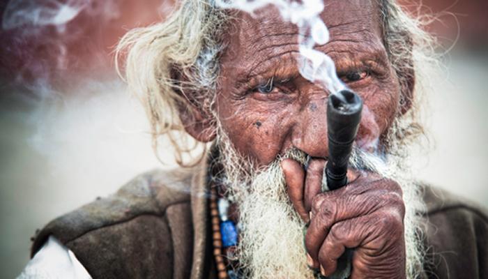 गांजाच्या अड्ड्यांवर नागरिकांनीच टाकली धाड आणि... गांजाच्या अड्ड्यांवर नागरिकांनीच टाकली धाड आणि...
