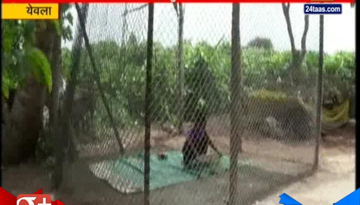 बिबट्यासाठी नाही तर चक्क मुलांसाठी पिंजऱ्यांचा वापर बिबट्यासाठी नाही तर चक्क मुलांसाठी पिंजऱ्यांचा वापर