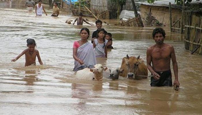 आसाममध्ये पुराचा हाहाकार, ८ जणांचा मृत्यू आसाममध्ये पुराचा हाहाकार, ८ जणांचा मृत्यू