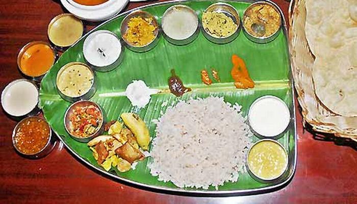 पोषक आहार आणि पचन पोषक आहार आणि पचन