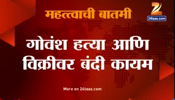 महाराष्ट्रात गोहत्या बंदी कायम, हायकोर्टाने याचिका फेटाळली महाराष्ट्रात गोहत्या बंदी कायम, हायकोर्टाने याचिका फेटाळली