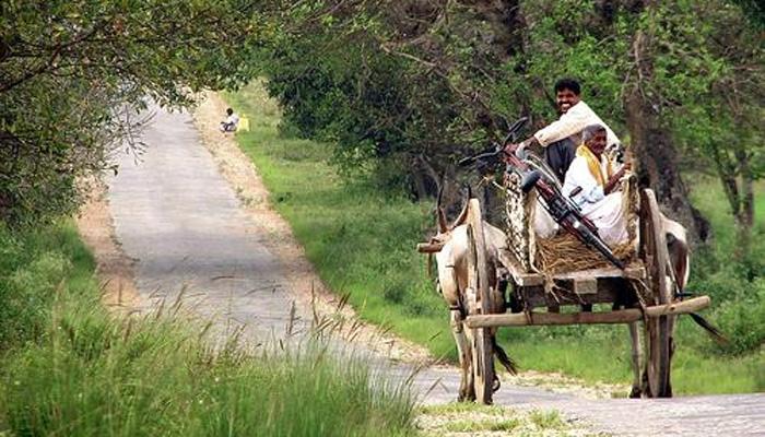 ...या गावात जबरदस्तीनं तयार झालीय अविवाहीत तरुणांची फौज! ...या गावात जबरदस्तीनं तयार झालीय अविवाहीत तरुणांची फौज!