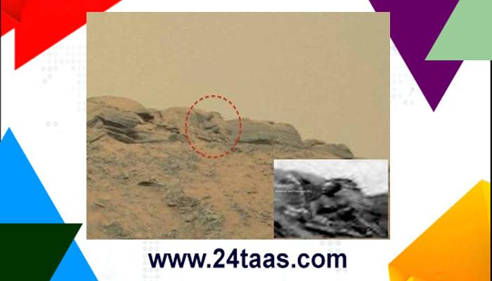 मंगळावर दिसले गौतम बुद्ध, UFO साइटिंग डेलीचा दावा मंगळावर दिसले गौतम बुद्ध, UFO साइटिंग डेलीचा दावा