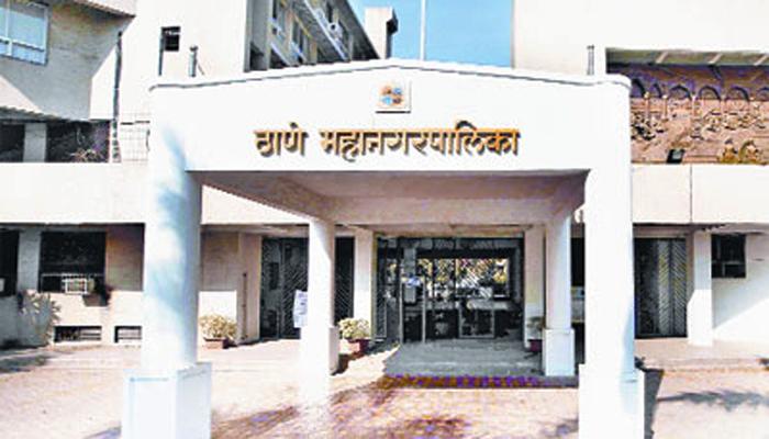 काम नाही पण पगाराला हजर; 14 कर्मचाऱ्यांवर कारवाई काम नाही पण पगाराला हजर; 14 कर्मचाऱ्यांवर कारवाई