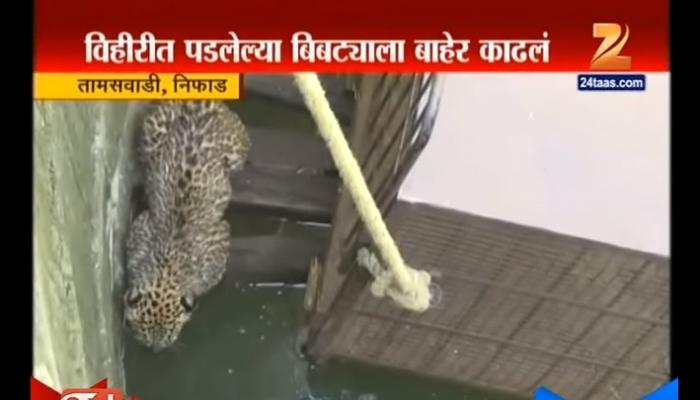 थरार... विहीरीत पडलेल्या बिबट्याला वाचवलं... थरार... विहीरीत पडलेल्या बिबट्याला वाचवलं...