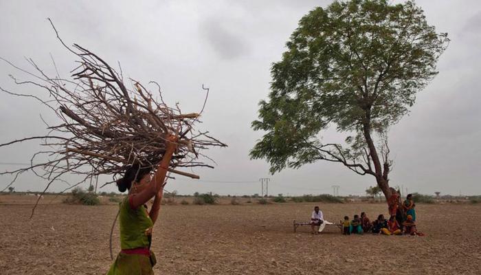 दुष्काळावर सर्वोच्च न्यायालयाची राज्य सरकारला नोटीस दुष्काळावर सर्वोच्च न्यायालयाची राज्य सरकारला नोटीस