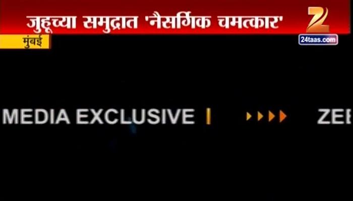 मुंबईच्या समुद्रातील नैसर्गिक चमत्कार कॅमेऱ्यात कैद मुंबईच्या समुद्रातील नैसर्गिक चमत्कार कॅमेऱ्यात कैद
