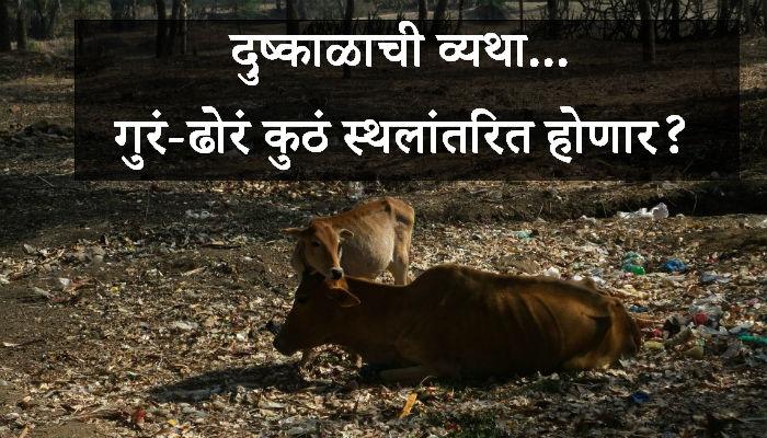 मुंबई-पुण्यात वाढतेय स्थलांतरितांची संख्या... मुंबई-पुण्यात वाढतेय स्थलांतरितांची संख्या...