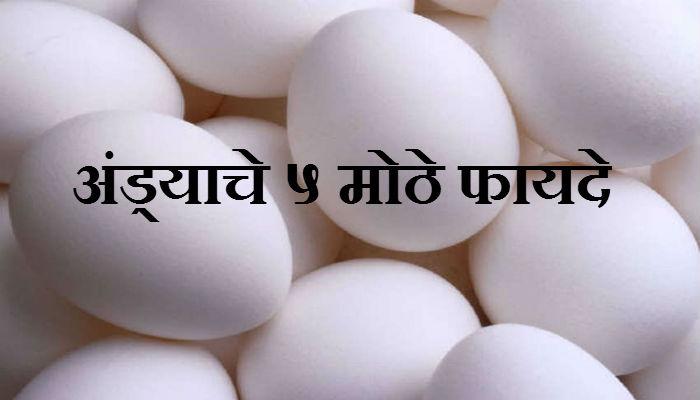 कच्च्या अंड्याचे ५ मोठे फायदे कच्च्या अंड्याचे ५ मोठे फायदे