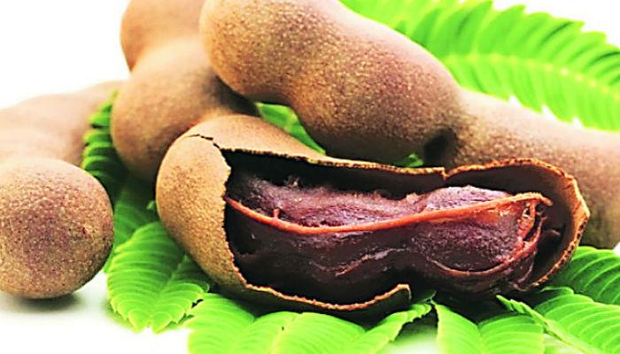 उन्हाळ्यात चिंच खाण्याचे पाच फायदे उन्हाळ्यात चिंच खाण्याचे पाच फायदे