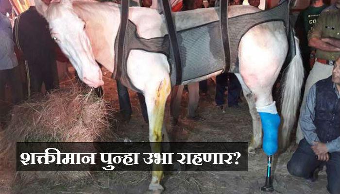 'शक्तीमान'साठी अमेरिकेतून येणार कृत्रिम पाय! 'शक्तीमान'साठी अमेरिकेतून येणार कृत्रिम पाय!