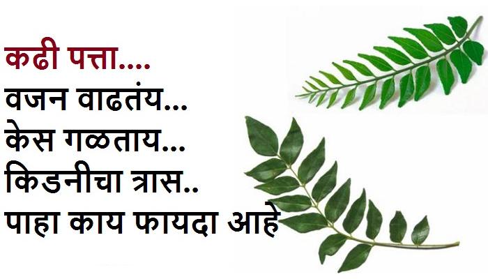 कढी पत्ता अनेक व्याथींवर उपाय कढी पत्ता अनेक व्याथींवर उपाय