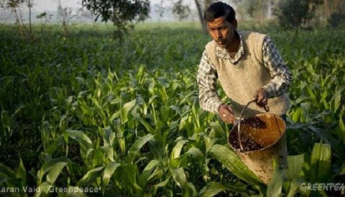शेतकऱ्यांच्या मुलांना 'रासायनिक शेती नकोशी' शेतकऱ्यांच्या मुलांना 'रासायनिक शेती नकोशी'