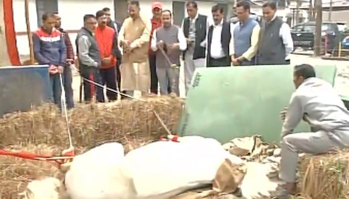 भाजप नेत्याने मारहाण केलेल्या ‘शक्तिमान' घोड्याचा अखेर मृत्यू भाजप नेत्याने मारहाण केलेल्या ‘शक्तिमान' घोड्याचा अखेर मृत्यू