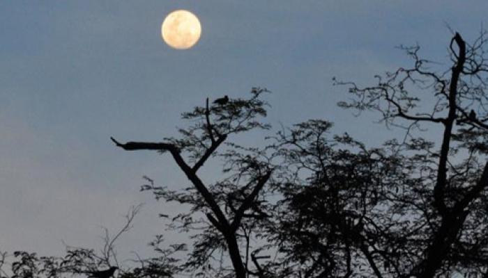 आजचा चंद्र असणार खास आजचा चंद्र असणार खास