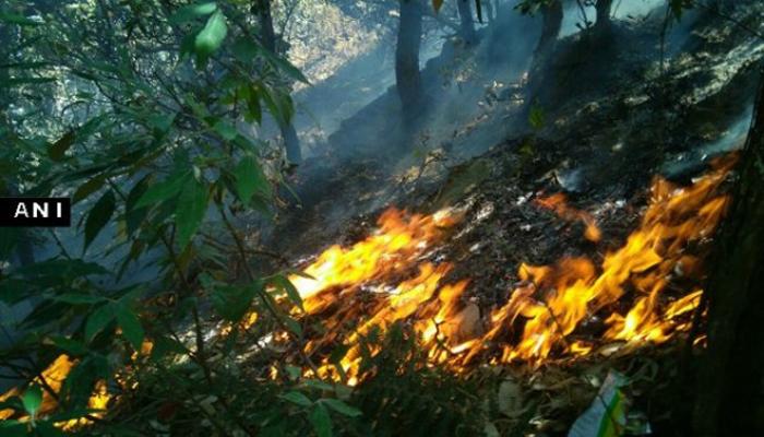 उत्तराखंडच्या जंगलातील आग विझवण्यासाठी हेलिकॉप्टरची मदत उत्तराखंडच्या जंगलातील आग विझवण्यासाठी हेलिकॉप्टरची मदत