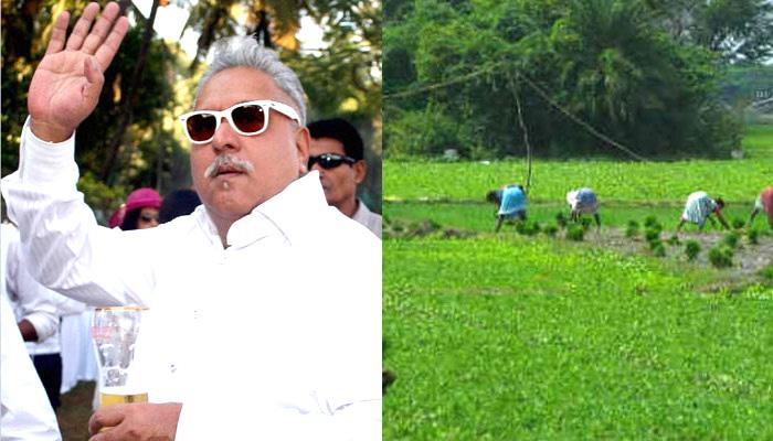 माल्याच्या कर्जाला बँक गॅरेंटर आहे... मनमोहन सिंग! माल्याच्या कर्जाला बँक गॅरेंटर आहे... मनमोहन सिंग!