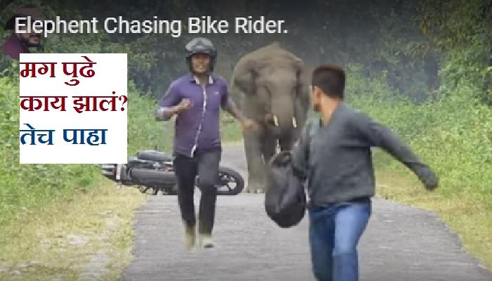 हत्तीने बाईक स्वारांची अशी काही वाट.... हत्तीने बाईक स्वारांची अशी काही वाट....