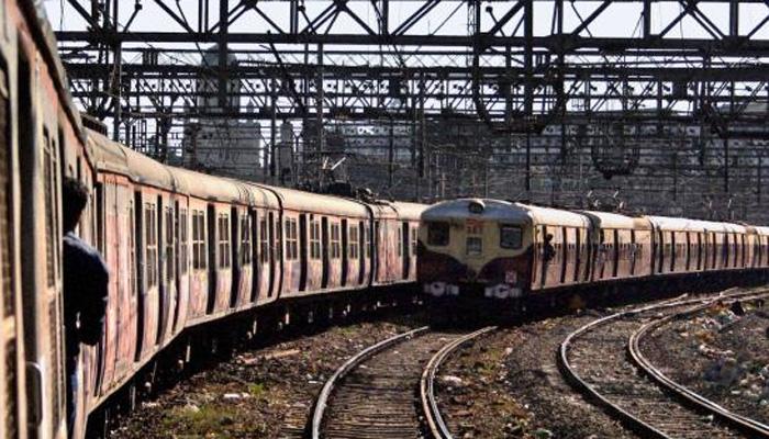 कुत्र्यामुळे मध्य रेल्वेची वाहतूक कोलमडली कुत्र्यामुळे मध्य रेल्वेची वाहतूक कोलमडली