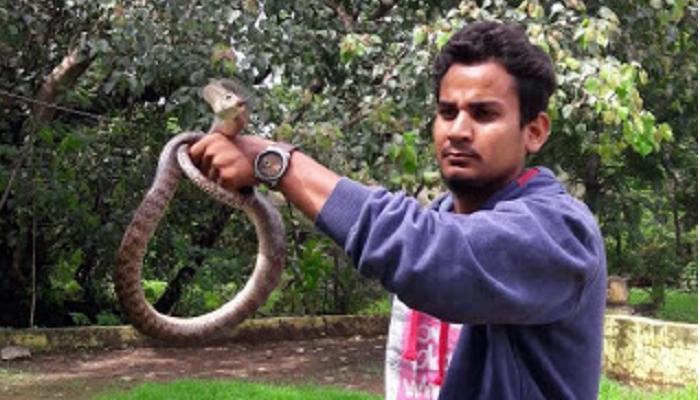 दवाखान्यात आला साप आणि... दवाखान्यात आला साप आणि...