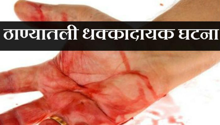 महिलेनं केली आपल्याच चिमुरड्याची हत्या, आत्महत्येचा प्रयत्न महिलेनं केली आपल्याच चिमुरड्याची हत्या, आत्महत्येचा प्रयत्न
