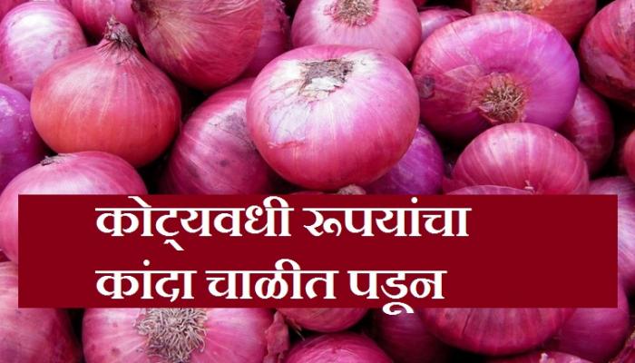 शेतकरी वाऱ्यावर, व्यापाऱ्यांची मुजोरी कायम? मंत्र्यांची चुपी शेतकरी वाऱ्यावर, व्यापाऱ्यांची मुजोरी कायम? मंत्र्यांची चुपी