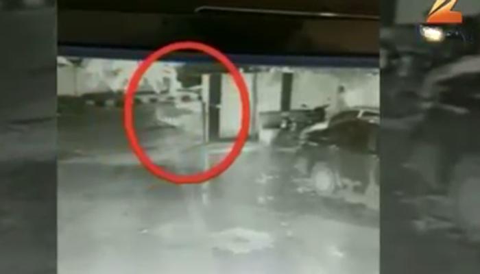 पोलीस ठाण्यात बिबट्याचा मुक्त वावर पोलीस ठाण्यात बिबट्याचा मुक्त वावर