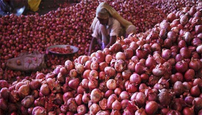 कांदा निर्यातीवर सबसिडीवर पंतप्रधान निर्णय घेतील कांदा निर्यातीवर सबसिडीवर पंतप्रधान निर्णय घेतील