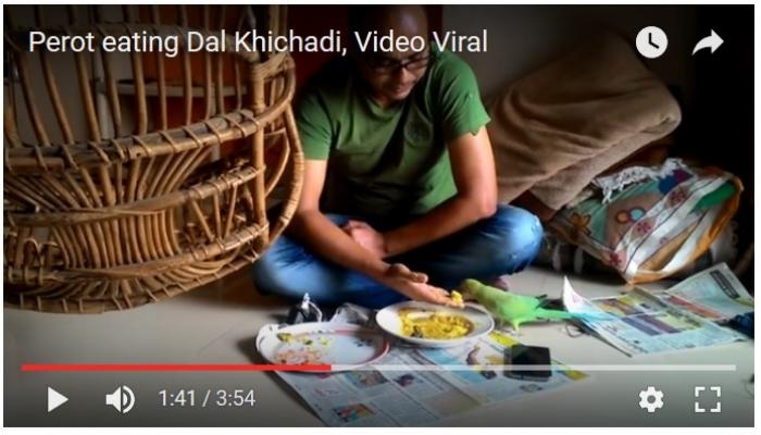 अशी पाखरे येती आणि स्मृती ठेवून जाती.... अशी पाखरे येती आणि स्मृती ठेवून जाती....