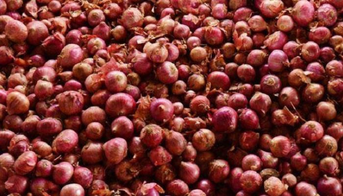 कांद्याला चक्क 5 पैसे दर, शेतकरी हवालदील कांद्याला चक्क 5 पैसे दर, शेतकरी हवालदील