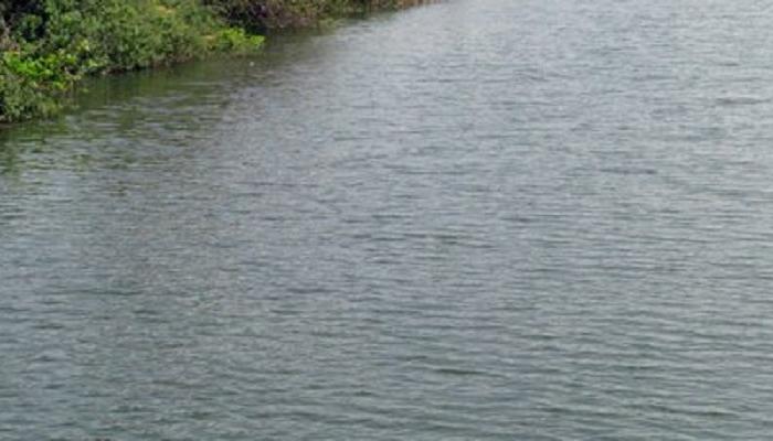 नागपूरमध्ये सहा महिलांचा बुडून मृत्यू नागपूरमध्ये सहा महिलांचा बुडून मृत्यू