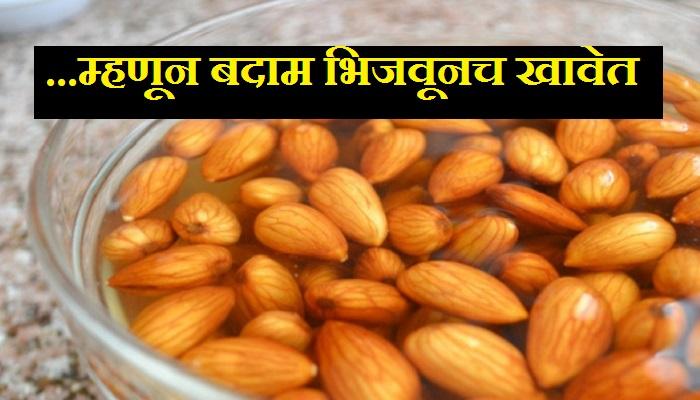पाहा बदाम का भिजवून खावेत पाहा बदाम का भिजवून खावेत