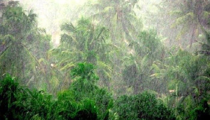 कोकणात पावसाचा धुमाकूळ, नारंगी, चोरद, जगबुडी नद्यांना पूर कोकणात पावसाचा धुमाकूळ, नारंगी, चोरद, जगबुडी नद्यांना पूर