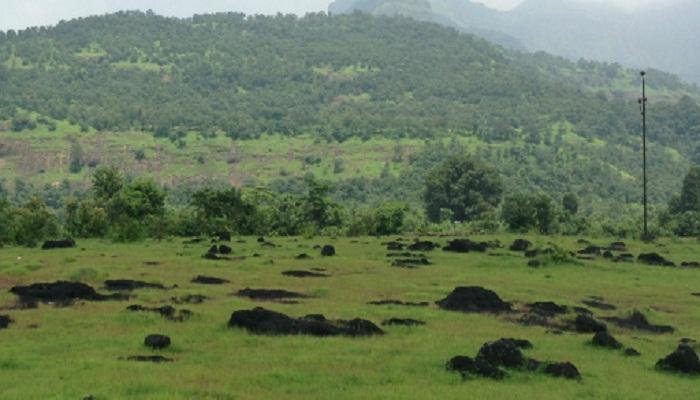 रायगडमध्ये पावसाची विश्रांती रायगडमध्ये पावसाची विश्रांती