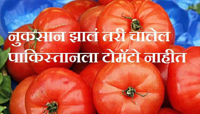 पाकिस्तानला टोमॅटो न देण्याची शेतकऱ्यांची भूमिका पाकिस्तानला टोमॅटो न देण्याची शेतकऱ्यांची भूमिका