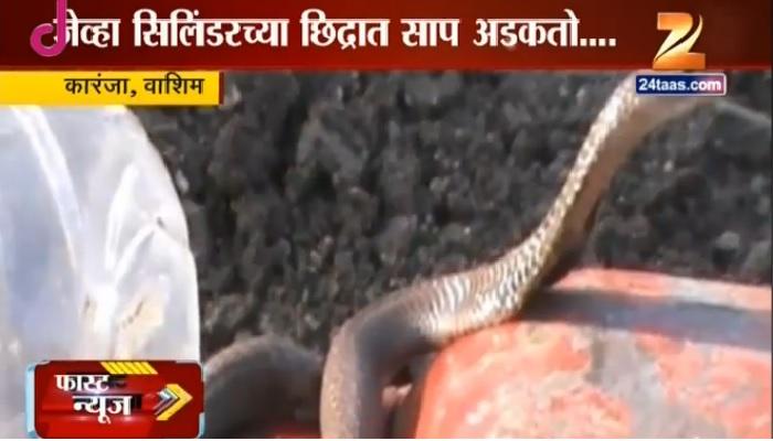 सिलिंडरच्या एका छिद्रात जेव्हा साप अडकतो... सिलिंडरच्या एका छिद्रात जेव्हा साप अडकतो...