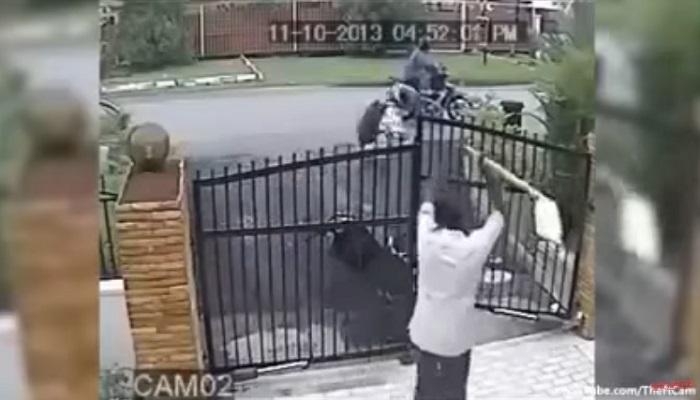 चोरीचा असा व्हिडिओ तुम्ही याआधी कधी पाहिला नसेल चोरीचा असा व्हिडिओ तुम्ही याआधी कधी पाहिला नसेल