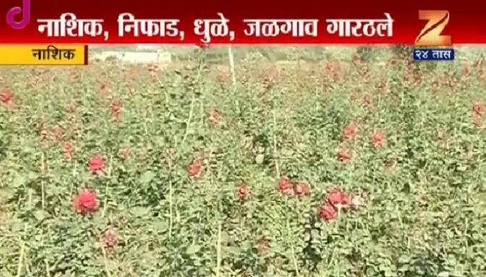 उत्तर महाराष्ट्रात मोठ्या प्रमाणात थंडीची लाट उत्तर महाराष्ट्रात मोठ्या प्रमाणात थंडीची लाट