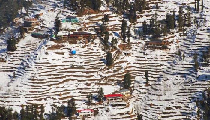 हिमाचल प्रदेशात थंडीची तीव्र लाट हिमाचल प्रदेशात थंडीची तीव्र लाट