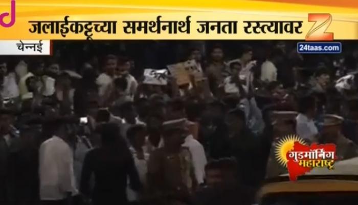 तामिळनाडूत जलाईकट्टू खेळाच्या समर्थनार्थ लाखो नागरिक रस्त्यावर तामिळनाडूत जलाईकट्टू खेळाच्या समर्थनार्थ लाखो नागरिक रस्त्यावर